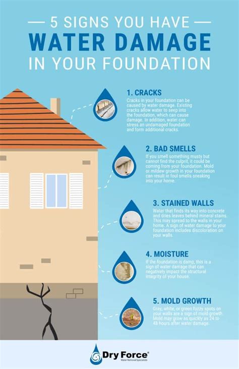 5 Signs You Have Water Damage In Your Foundation | Dry Force