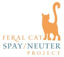 fourwhitepaws: Inside the Feral Cat Spay/Neuter Project