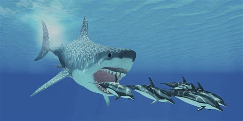 10 Interesting Facts About Megalodon