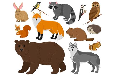 Cartoon forest animals, owl, bear, fox, raccoon and squirrel