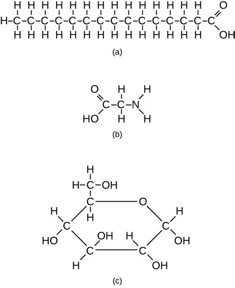 4.1 Biological Molecules – Human Biology