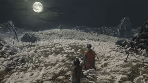 Sekiro: Shadows Die Twice - PC Tweaks & Fixes Guide | DS4 Controller, Low FPS & More - Gameranx