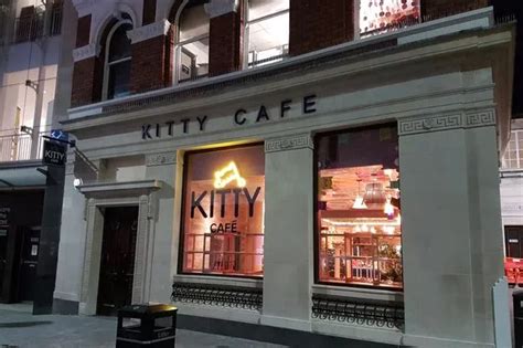 Kitty Cafe Leeds - Leeds Live