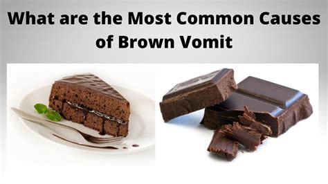 What are the Most Common Causes of Brown Vomit - YouTube