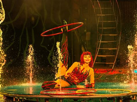 SPLASH – THE WATER CIRCUS HITS SA THIS MONTH – Hypress Live