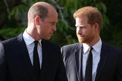 How Prince William and Harry's seismic reunion was arranged over TEXT | The US Sun