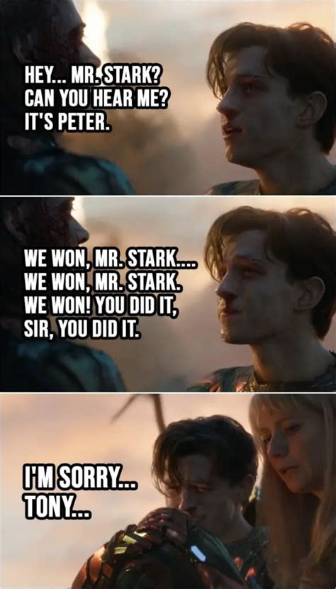 29.4.2019 21.8.2019 We won, Mr. Stark. We won and you did it, sir.