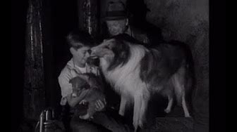 Lassie - Season 2 - "Jeff's Collie" - YouTube