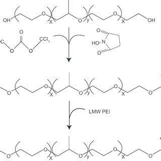 (PDF) Degradable gene delivery systems based on Pluronics-modified low-molecular-weight ...