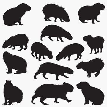 Capybara Black And White Clipart Images For Free Download - Pngtree