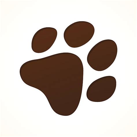 Tiger Paw Illustrations, Royalty-Free Vector Graphics & Clip Art - iStock