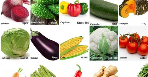 Bitter Vegetables Name List