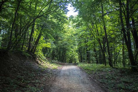 Fruska Gora National Park, Serbia