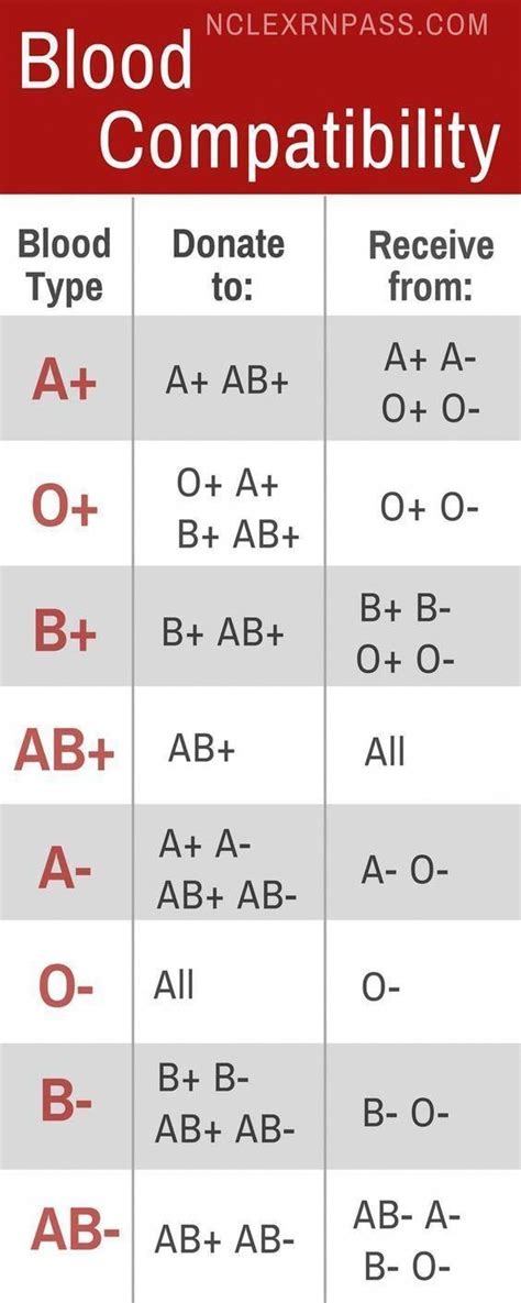 Blood Donor Compatibility Chart