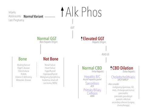 Liver Function Tests Decoded — Taming the SRU