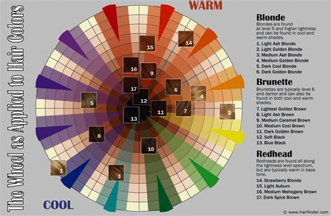 How To Use The Hair Color Wheel