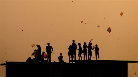 Makar Sankranti Kites – Bing Wallpaper Download