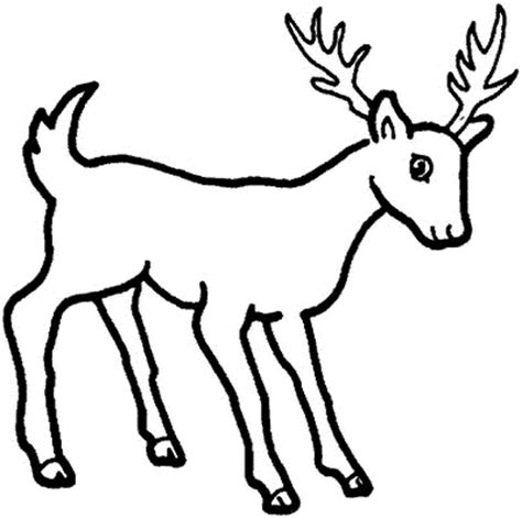 Deer Drawing Cartoon at GetDrawings | Free download