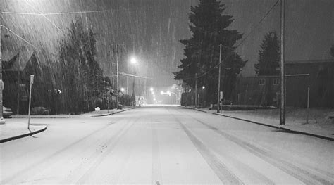 Winter is here: Vancouver wakes up blanketed in snow (PHOTOS) | Daily Hive Vancouver