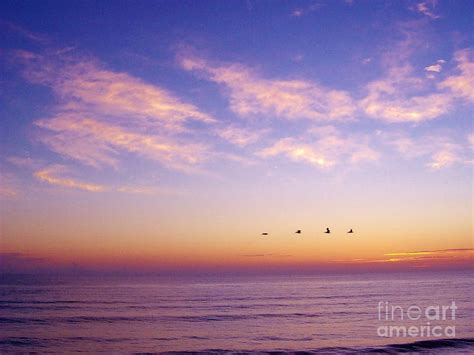 Pink Clouds At Sunrise Photograph