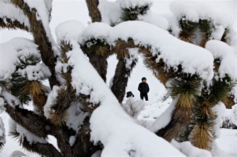 Winter storm brings record snowfall to parts of Arizona | Inquirer News