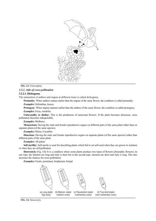 Anthesis and Pollination in crop plants.pdf