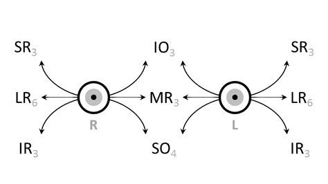 Extraocular Muscles | Eye Movement | Eye Muscles | Geeky Medics