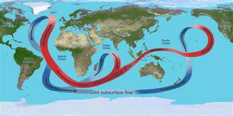 Climate Science Investigations South Florida - Thermohaline Circulation ...