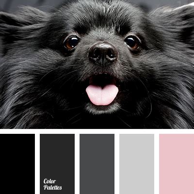 Color Palette #2322 | Color Palette Ideas