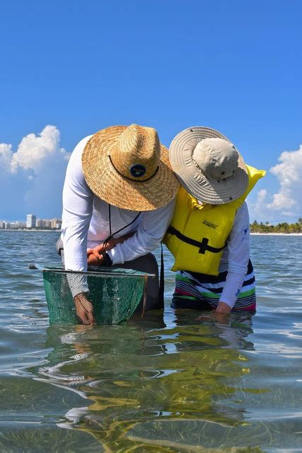 Key Biscayne Nature Center: MiamiCurated