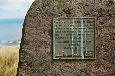 File:Rapamycin plaque on Easter Island.JPG - Wikipedia, the free encyclopedia