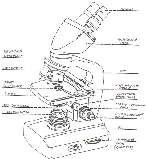 Binocular Microscope Drawing at GetDrawings | Free download