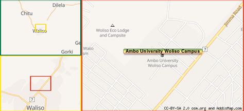 Ambo University Woliso Campus (University) (Addis Ababa, Ethiopia)