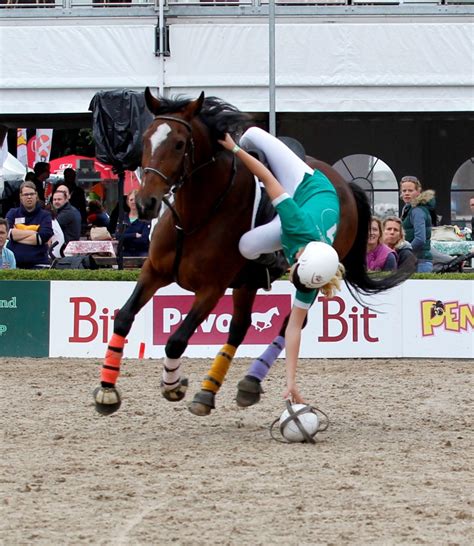 Horseball overwinningen voor Frankrijk - Horses