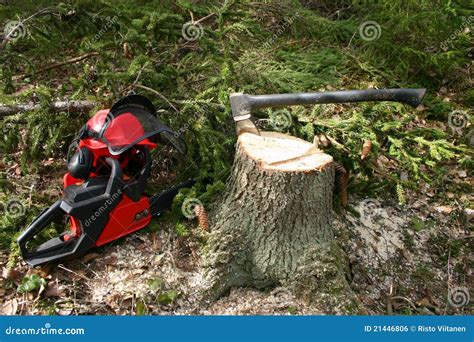 Logger equipment in forest stock photo. Image of helmet - 21446806