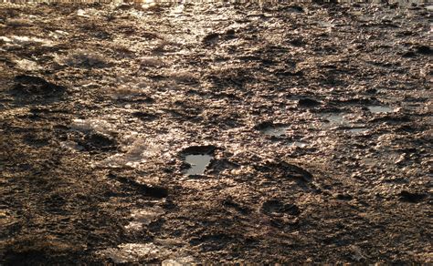 Free photo: Grunge Mud Texture - Black, Clay, Dirt - Free Download - Jooinn