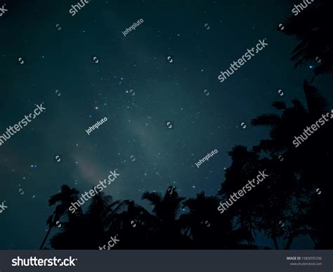 Starry Night Sky Landscape Tree Silhouette Stock Photo 1983095336 | Shutterstock