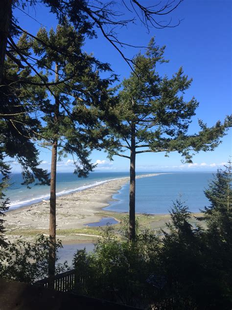 Discover the Stunning Dungeness Spit in Sequim, WA