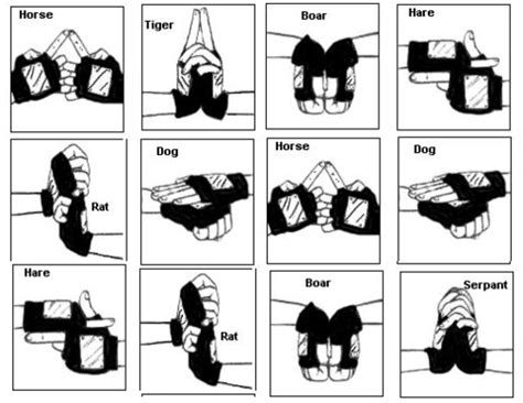 byakugan jutsu hand signs | tumblr_lwtirif6wh1r3ybkx.png | Naruto | Pinterest | Naruto, Naruto ...