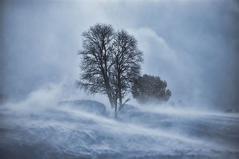 What Is a Ground Blizzard? - WorldAtlas.com