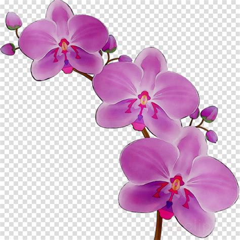 Free Watercolor Orchid Clip Art Flower 16532592 Png W - vrogue.co