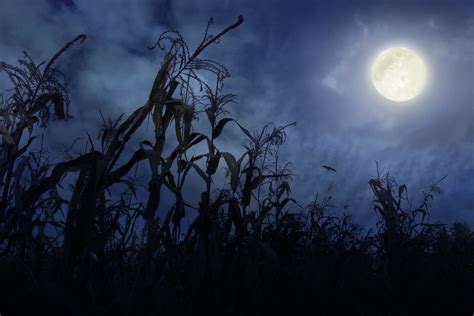 Here's when September's Full Harvest Moon will brighten up the sky