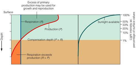 [Solved] The effect of depth on net primary production | 9to5Science