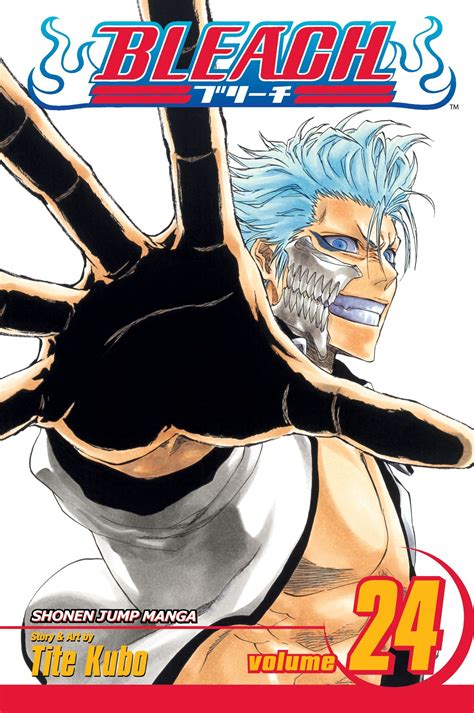 Bleach Manga Volumes Covers - Kagutaba