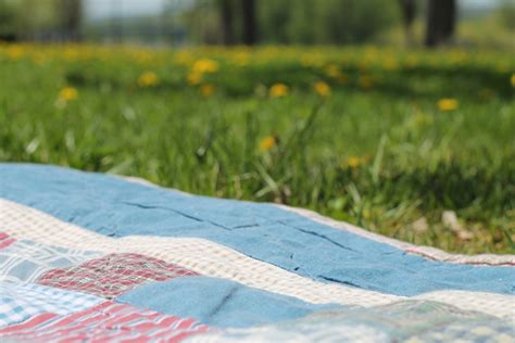 Free Images : nature, field, lawn, meadow, sunlight, leaf, flower, summer, spring, green, relax ...