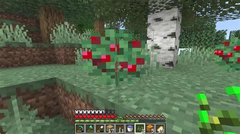 Minecraft Sweet Berries: Spawn, uses and more!