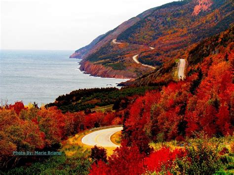 Cabot Trail foliage. Cape Breton Highlands National Park, Nova Scotia ...