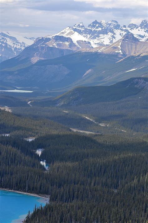 Spectacular Views of Peyto Glacier and Peyto Lake - The GateThe Gate