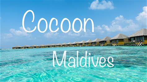 Cocoon Maldives 2022 4K island drone food snorkeling diving PADI room ...