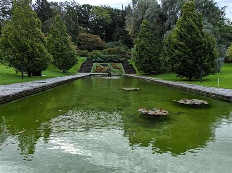 Botanical Garden (Gothenburg) - 2019 All You Need to Know BEFORE You Go ...